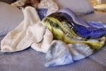 Pro Vision Challenger Lambswool Throw - 6