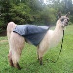 Rural Llama Throw