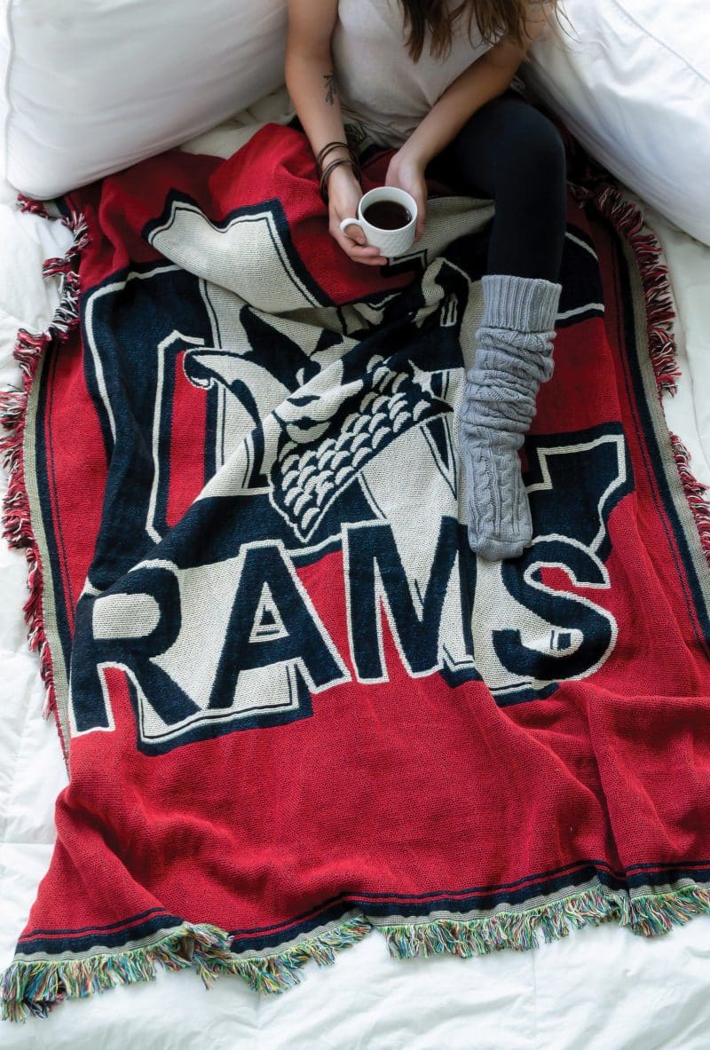 Single Layer Tapestry Blanket - 1